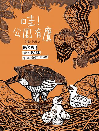 哇!公園有鷹
