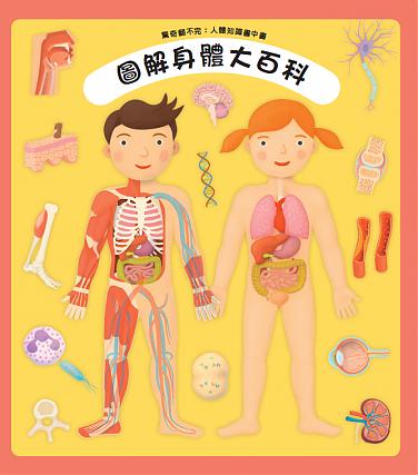 驚奇翻不完:人體知識書中書—圖解身體大百科